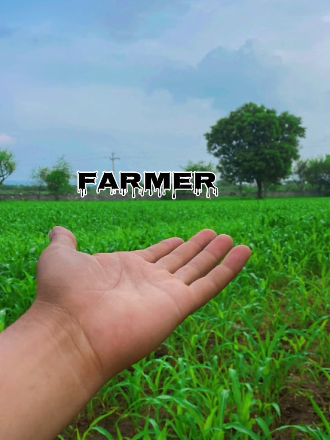 Farm consultation at Kalro Farm Kenya
